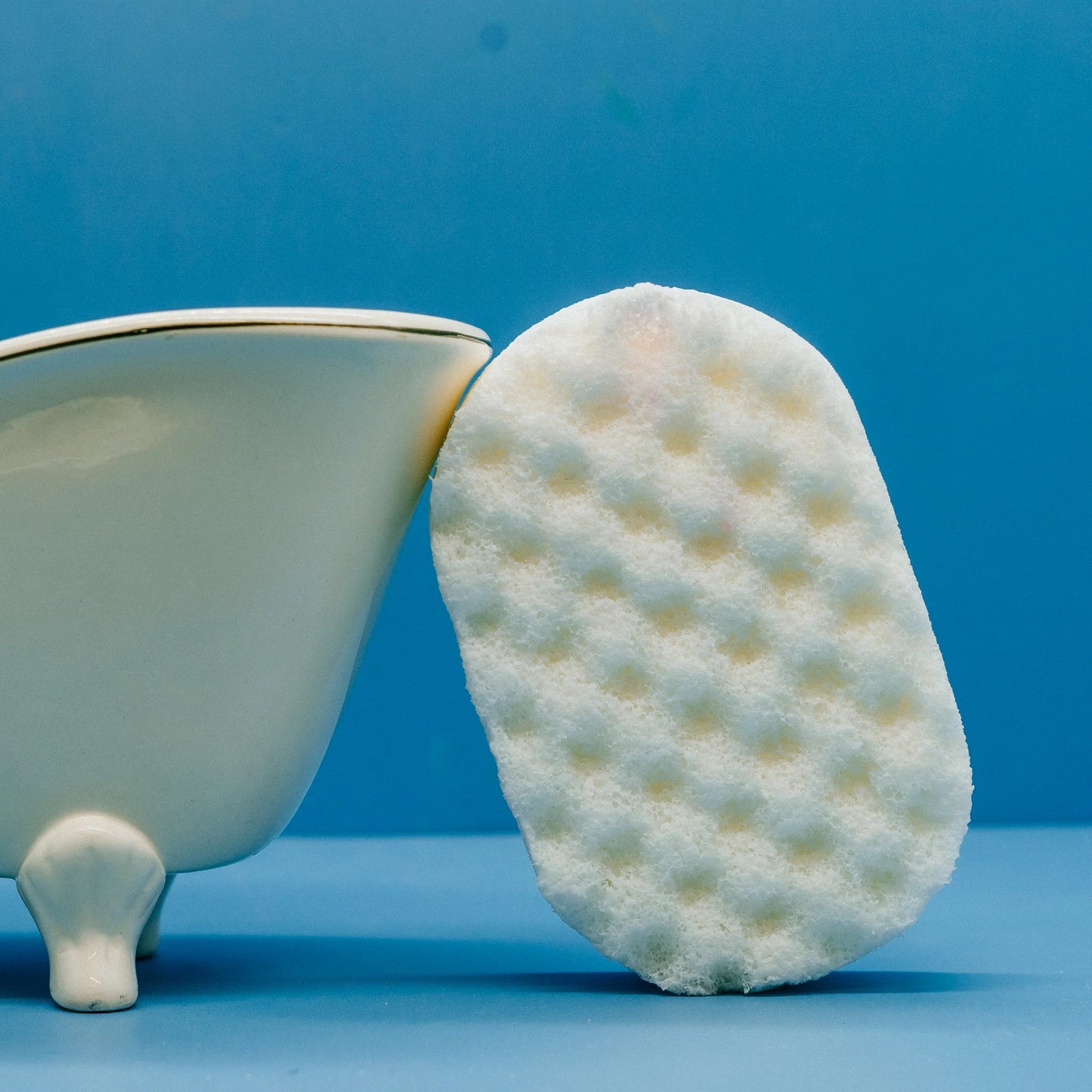 Doves Soap Sponge
