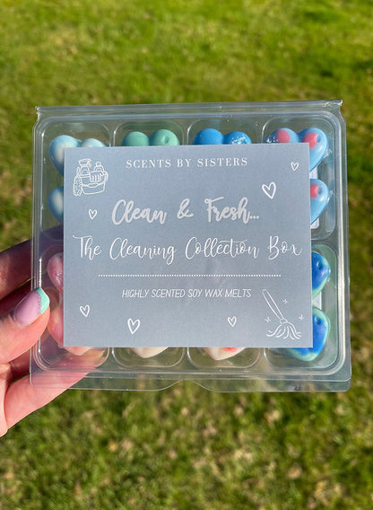The Cleaning Collection Box