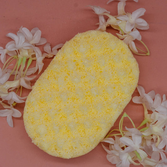 Daisies Soap Sponge