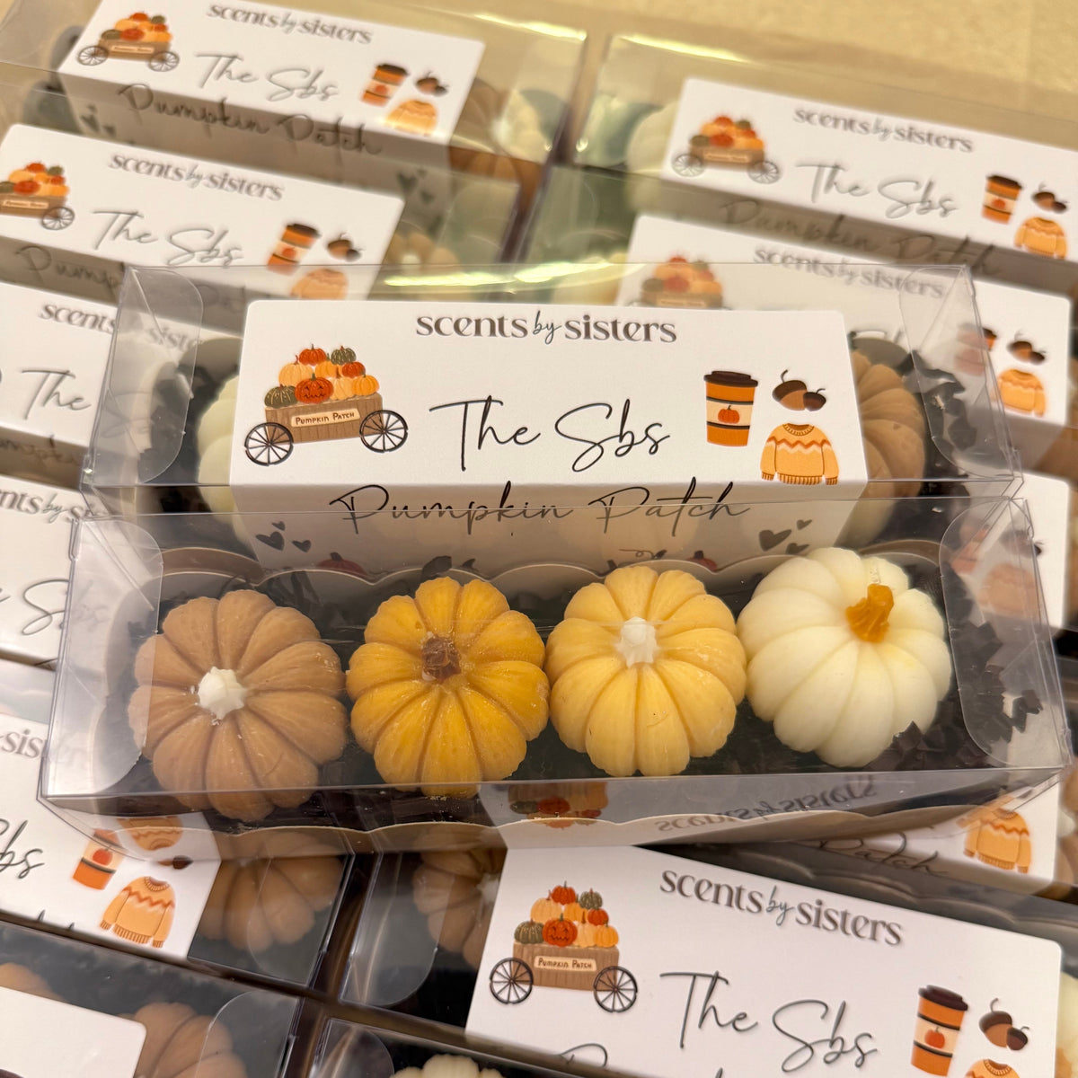 The Sbs Pumpkin Patch